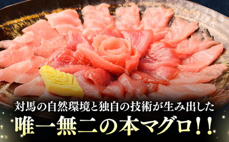 【全12回定期便】対馬産 本マグロ 1kg（赤身500g、中トロ500g） トロの華 対馬 新鮮 マグロ トロ 鮪 刺身 [WAQ054]