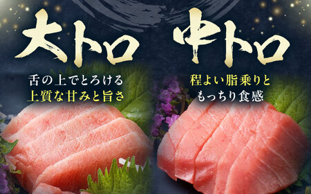 対馬産 本マグロ 500g（赤身200g、中トロ200g、大トロ100g） トロの華 対馬 新鮮 マグロ 大トロ 鮪 刺身 [WAQ055]