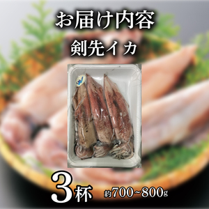 イカ 剣先イカ 約 700g ~ 800g  冷凍 いか 3杯 イカお刺身用  生食可能 ケンサキイカ おいしいイカ 剣先いか イカ 山口県産 ご飯 蟹屋 KNY-KE01-sp 下関 山口