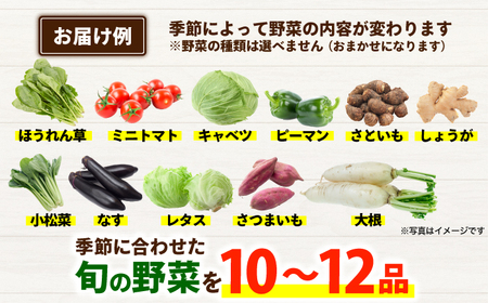 【年10回コース定期便】合志の旬のお野菜10?12品目 野菜定期便[AYAB013]