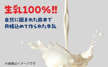 大阿蘇牛乳 250ml×24本入 牛乳[AYAB021]