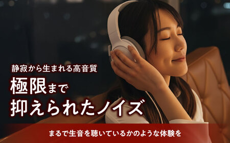 CAP-1001 （ コンパクトパワーアンプ ） 約500g 音響機器 コンパクト オーディオ[AYAP004]