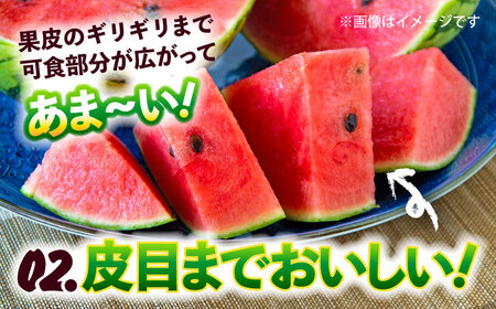 【2026年5月より発送 数量限定】小玉すいか 秀品 2玉 約2kg?3kg スイカ[AYAT008]