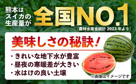 【2026年5月より発送 数量限定】訳あり 小玉すいか 2玉 約2kg?3kg スイカ [AYAT009]