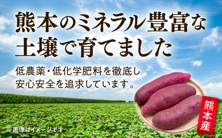 【訳あり】紅はるか さつまいも 約5kg 2S?3Lサイズ混合 さつまいも[AYAT010]