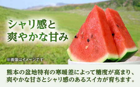 【2026年5月より発送 数量限定】大玉 西瓜 1玉入り 約8kg すいか[AYAU001]