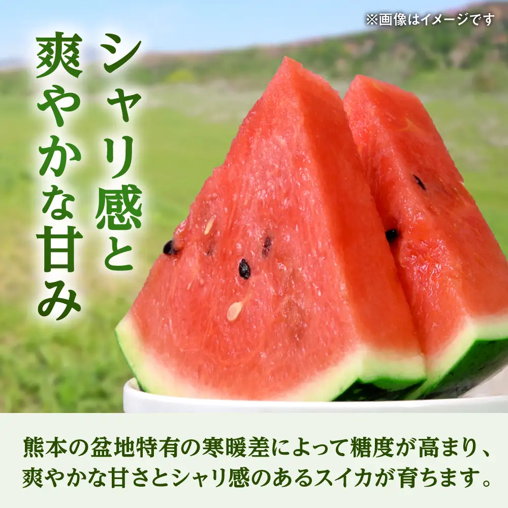 数量限定 大玉スイカ2玉計約16kg 西瓜スイカすいか AYAU002