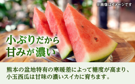 【2026年5月より発送 数量限定】小玉スイカ 1箱 約8kg すいか[AYAU003]