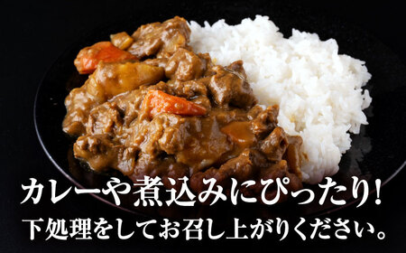 【全12回定期便】 馬スジ 計12kg 1回あたり1kg（500g×2パック） / 馬肉 スジ 筋 煮込み 冷凍[AYBV015]