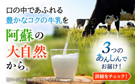 【全12回定期便】 らくのう 特濃4.3 1000ml （6本入り） 熊本県産 国産 [AYCB027]