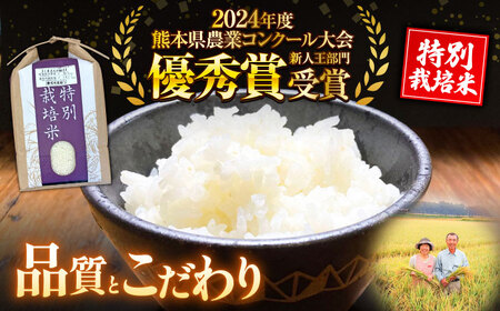 【令和7年度】 【全6回定期便】 くまさんの輝き 白米 10kg 計60kg 白米[AYCC036]