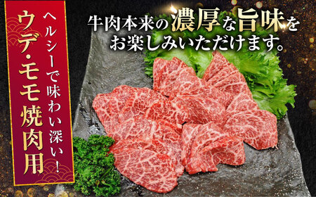 【全12回定期便】熊本県産 A5等級 黒毛和牛 和王 ウデ・モモ 焼肉用 約400g 計約4.8kg 焼肉[AYCH022]