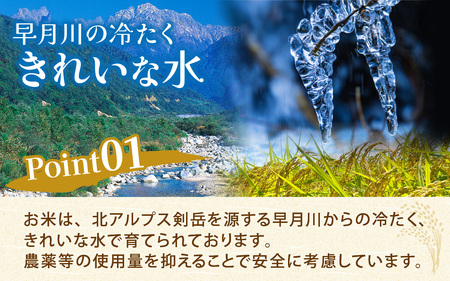 25年10月中旬以降順次発送 精米  5kg 富山県滑川産「てんこもり」与文のお米 / 産地直送 袋 ブランド米 お米 白米 ご飯 ごはん 富山 滑川市 アグリめぐみ [A-050004]