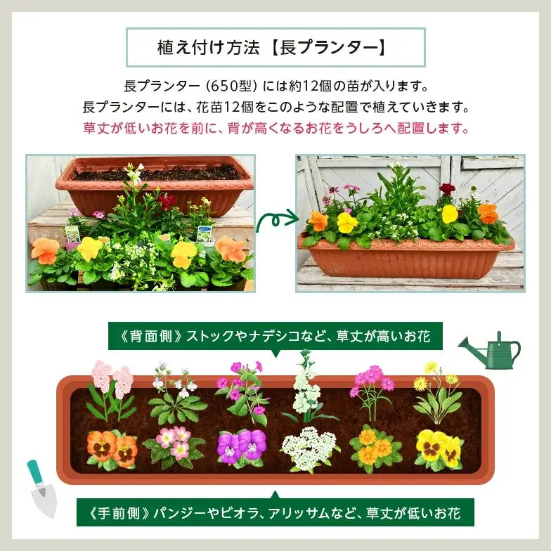 季節の花苗24セット【花苗 花苗セット 花 季節の花 花セット ガーデニング 家庭菜園 園芸 初夏 夏 花壇 庭 鉢 玄関 プランター 寄せ植え おうち時間 趣味 ベランダ 土っ子倶楽部 プレゼント ギフト 】【価格改定】