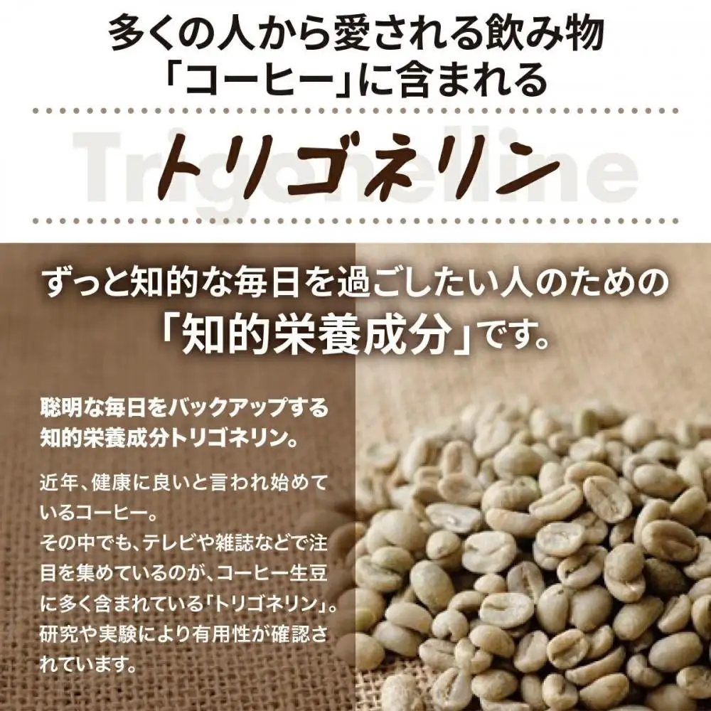 トリゴネージコーヒー 3種セット (ブルーマウンテン、モカ、スペシャル)