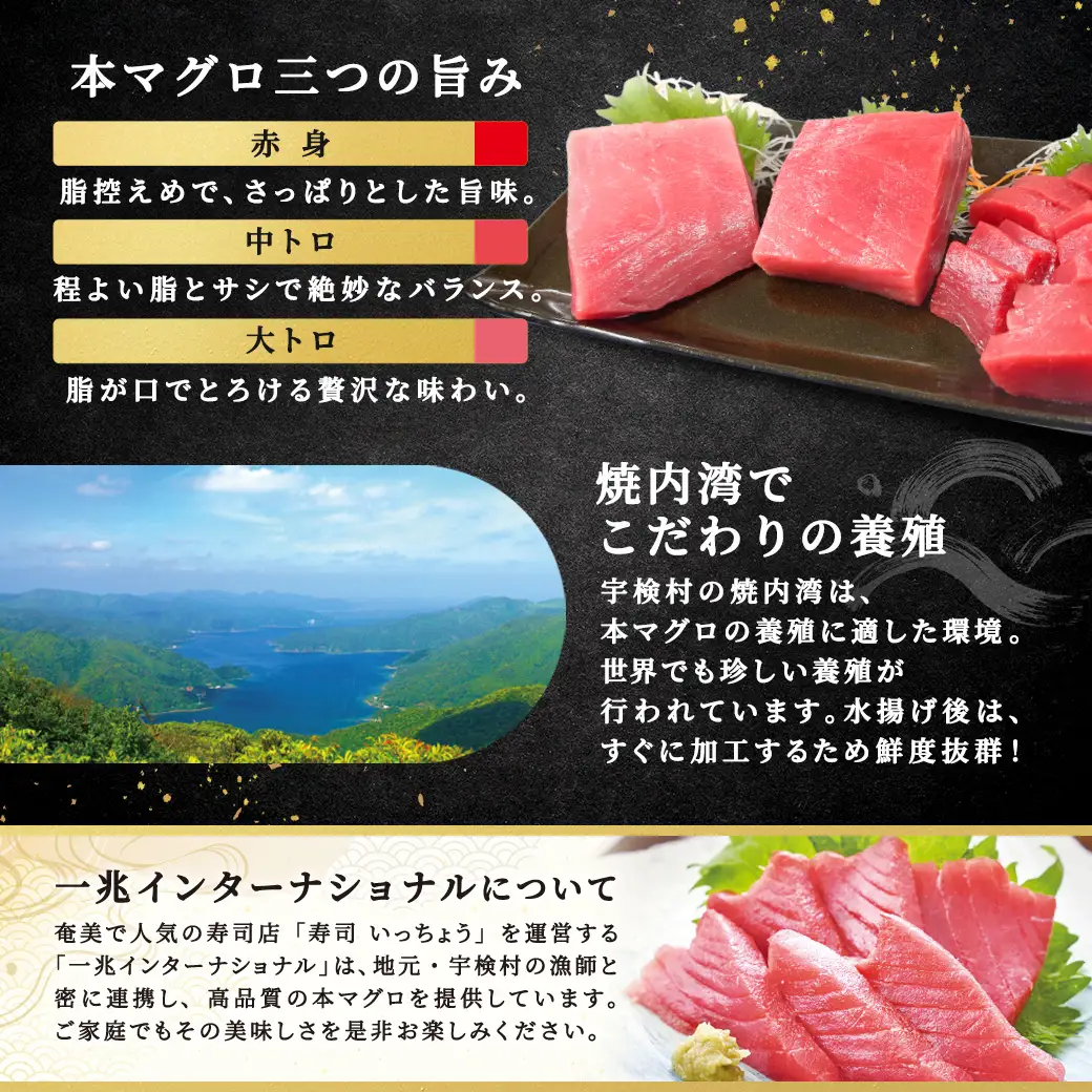 【 大トロ 中トロ 】本マグロ 400g 簡単 お刺身 セット 冷凍 柵 宇検村産 鮪 海鮮 晩酌 刺し身 まぐろ さしみ 海鮮丼 人気 漬け ネギトロ 生食用