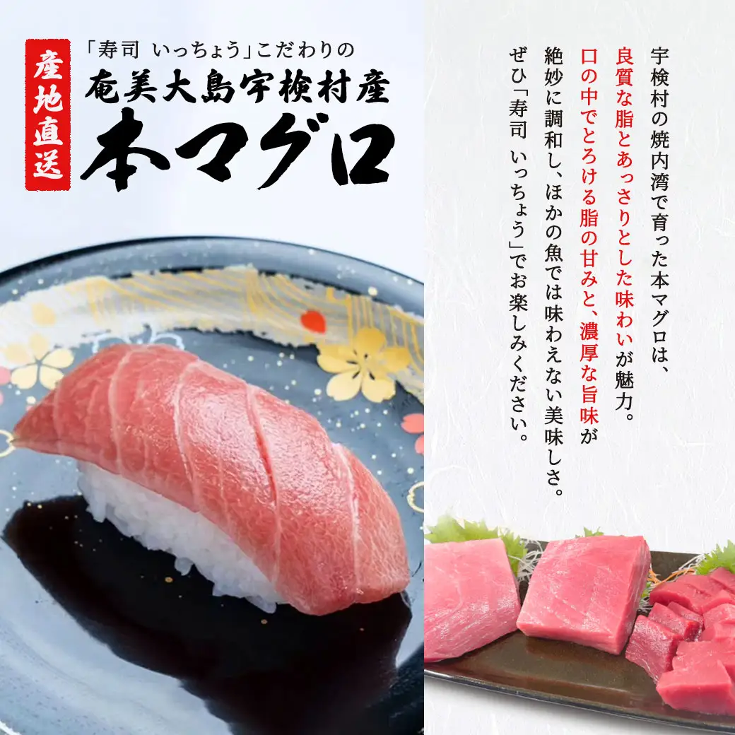 奄美大島 寿司いっちょう お食事券（3,000円分）