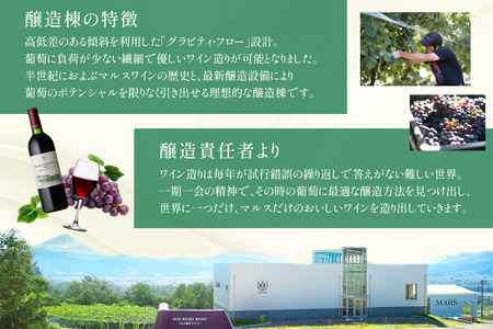 ワイン 赤 フルボディ 穂坂三之蔵ルージュ 750ml メルロー カルベネ ソーヴィニヨン [本坊酒造株式会社マルス穂坂ワイナリー 山梨県 韮崎市 20743924] 