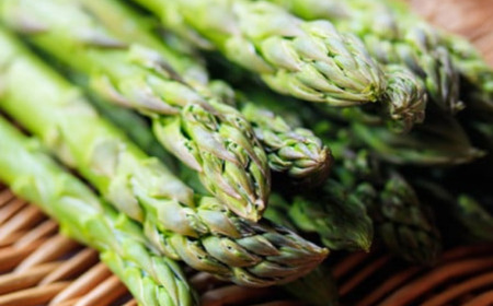 春採りグリーンアスパラ 1kg 2L以上 佐呂間町産 SRMM033