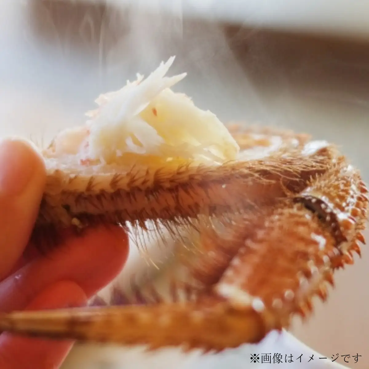 北海道産 ずっしり！大ぶり 冷凍ボイル毛ガニ 800g前後 SRMN024