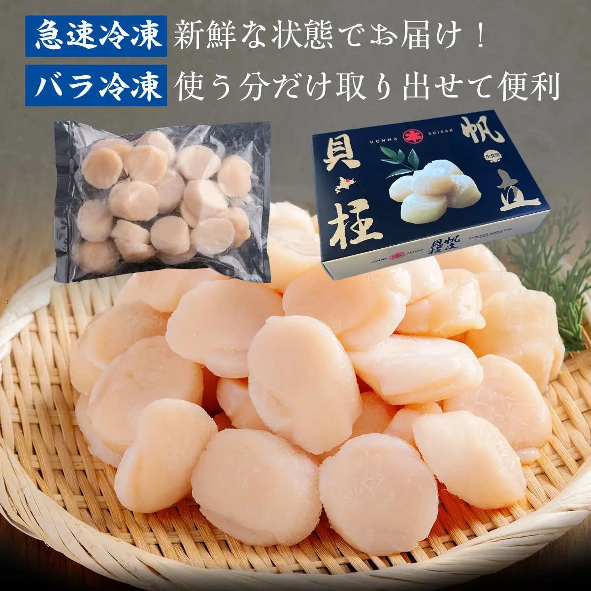 北海道オホーツク海産 大玉帆立貝柱 500g SRMR001 | 帆立