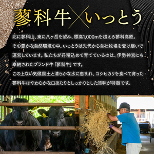 蓼科牛 いっとうプレミアムハンバーグセット