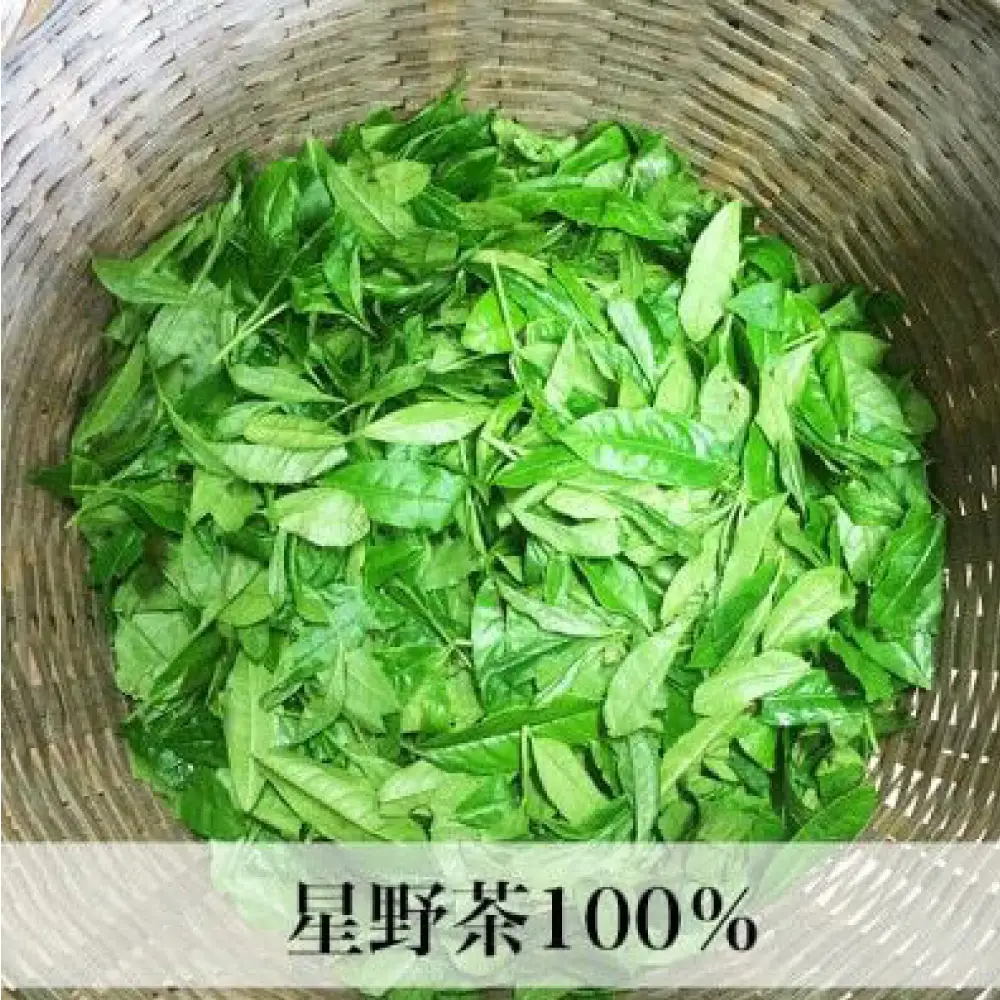 【ふるなびWEEK対象】【2026年産】星野村の八女茶2本セット [BGAA017]八女茶