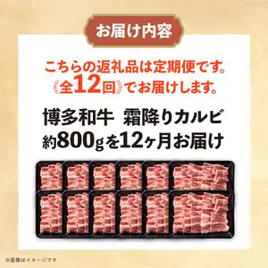 博多和牛 霜降りカルビ 全12回定期便 約800g×12回 072-T095