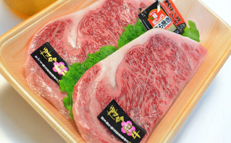 【A4~A5】博多和牛 ロースステーキ200g×2枚(合計400g) ソース・塩胡椒付[BGAC001] ロースステーキ