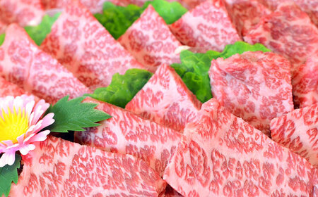 【化粧箱入】【A4~A5】博多和牛 肩ロースミニステーキ400g (ソース・塩胡椒付) [BGAC002]すてーき