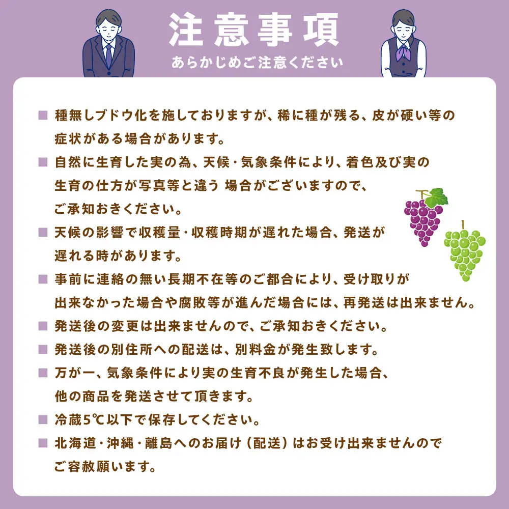 【先行予約】2026　ナガノパープル　【訳あり粒抜け等】　房複数　約1kg弱　長野県産  【10月初旬頃～順次発送予定】国際特許有機肥料栽培