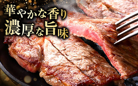 博多和牛 サーロインステーキ 200g×4枚 [BGAM009] さーろいん ステーキ 牛肉 国産