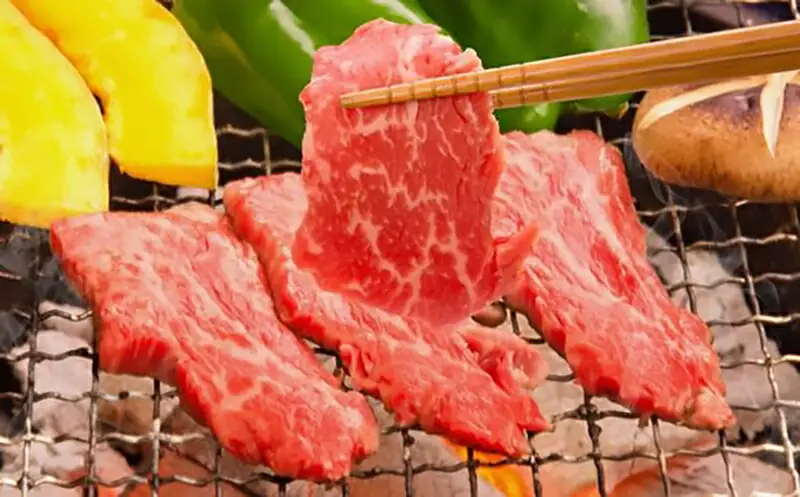 但馬牛 がっせぇ盛り 焼肉用計1kg（250g×4）国産 牛肉 和牛 72-24