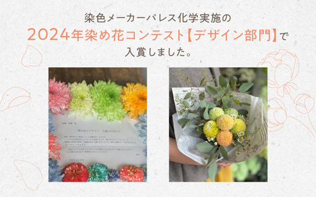 【定期便】 花束 毎月届く ピンポンマム 花束[Q2835]
