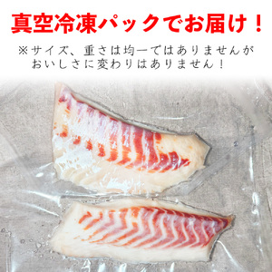 （冷凍） 【1月発送分】 国産 養殖 真鯛 500g ／ 長栄丸 ふるさと納税 鯛 タイ たい 小分けパック 短冊 刺身 しゃぶしゃぶ 三重県 大紀町