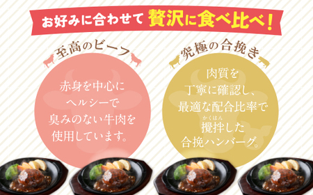Y61-31R09 【7営業日以内発送】どっちのハンバーグ!?デミグラスソース20個セット（ビーフ・合挽 各10個） ハンバーグ
