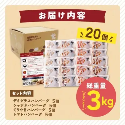 Y61-32R09 【7営業日以内発送】 Best4バーグ 20個セット 4種 ハンバーグ