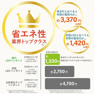 照明 瀧住 タキズミ LED ペンダントライト RV60049 洋風 6畳用
