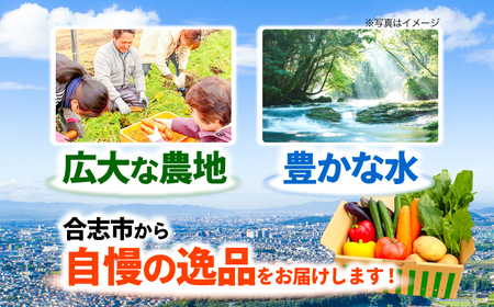 旬のお野菜10~12品 野菜[AYAB008]