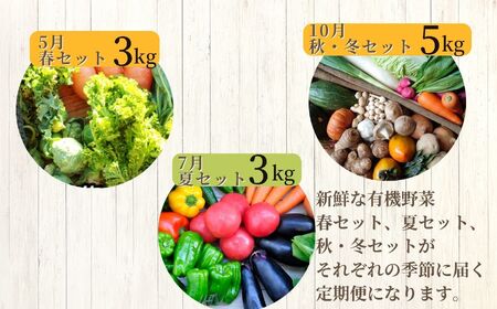定期便 全3回 季節の有機野菜セット【一般社団法人二本松有機農業研究会】