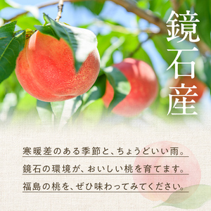 ＜先行予約＞福島県産 甘くてジューシー 桃 あかつき 3kg （9玉～12玉） もも フルーツ 果物 F6Q-353