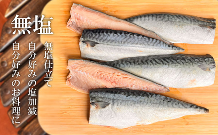 サバ 5枚 金華さば 半身 無塩