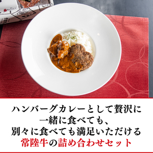 常陸牛ハートハンバーグ100g×2個 常陸牛カレー2個 詰め合わせセット 肉のイイジマ（DU-130）