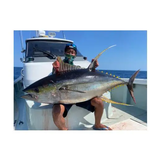 【 釣り船 】 釣り船貸し切り