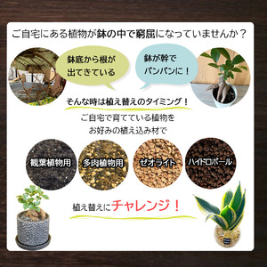 E101 培養土　【植え替え土セット】　観葉植物の土　4号