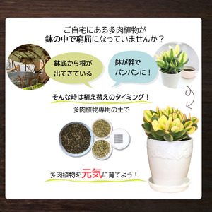 E102 培養土　【植え替え土セット】　多肉植物の土