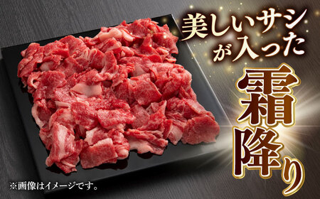 牛肉 A5等級 飛騨牛 切り落とし 500g [ANGY011] 牛肉