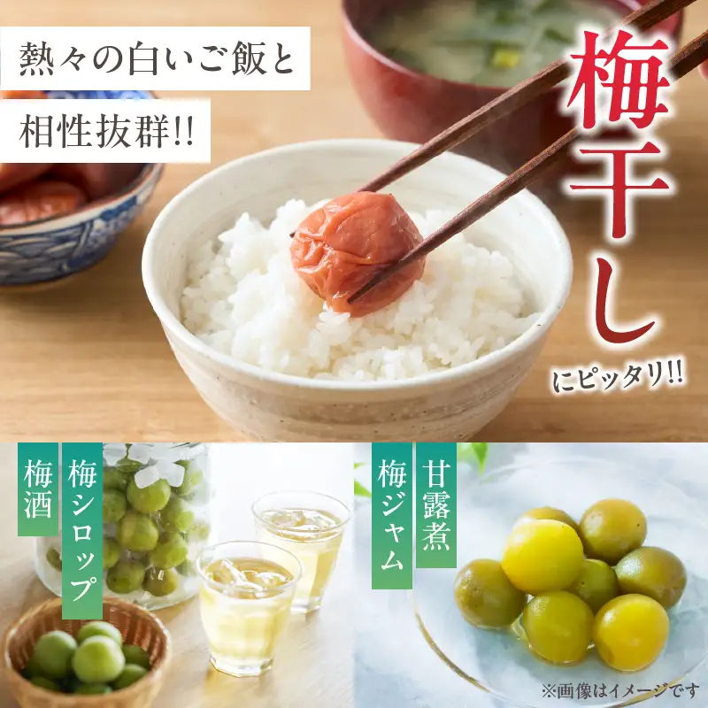 先行予約≪期間限定≫都農町産「南高梅(Mサイズ)」計5kg 梅 梅干し 果物 国産_T008-011