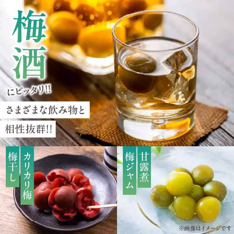 先行予約≪期間限定≫都農町産「鶯宿梅(Mサイズ)」計5kg 梅 梅干し 果物 国産_T008-013