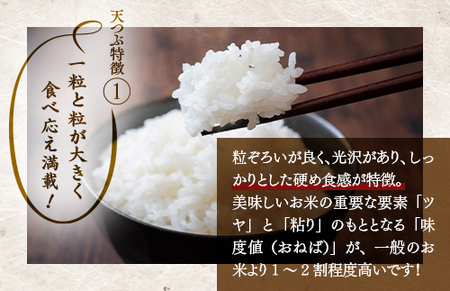 【令和8年産】【全3回定期便】米　国見町産　天のつぶ 10㎏(5㎏×2袋)　3回定期便 ※2026年10月～発送